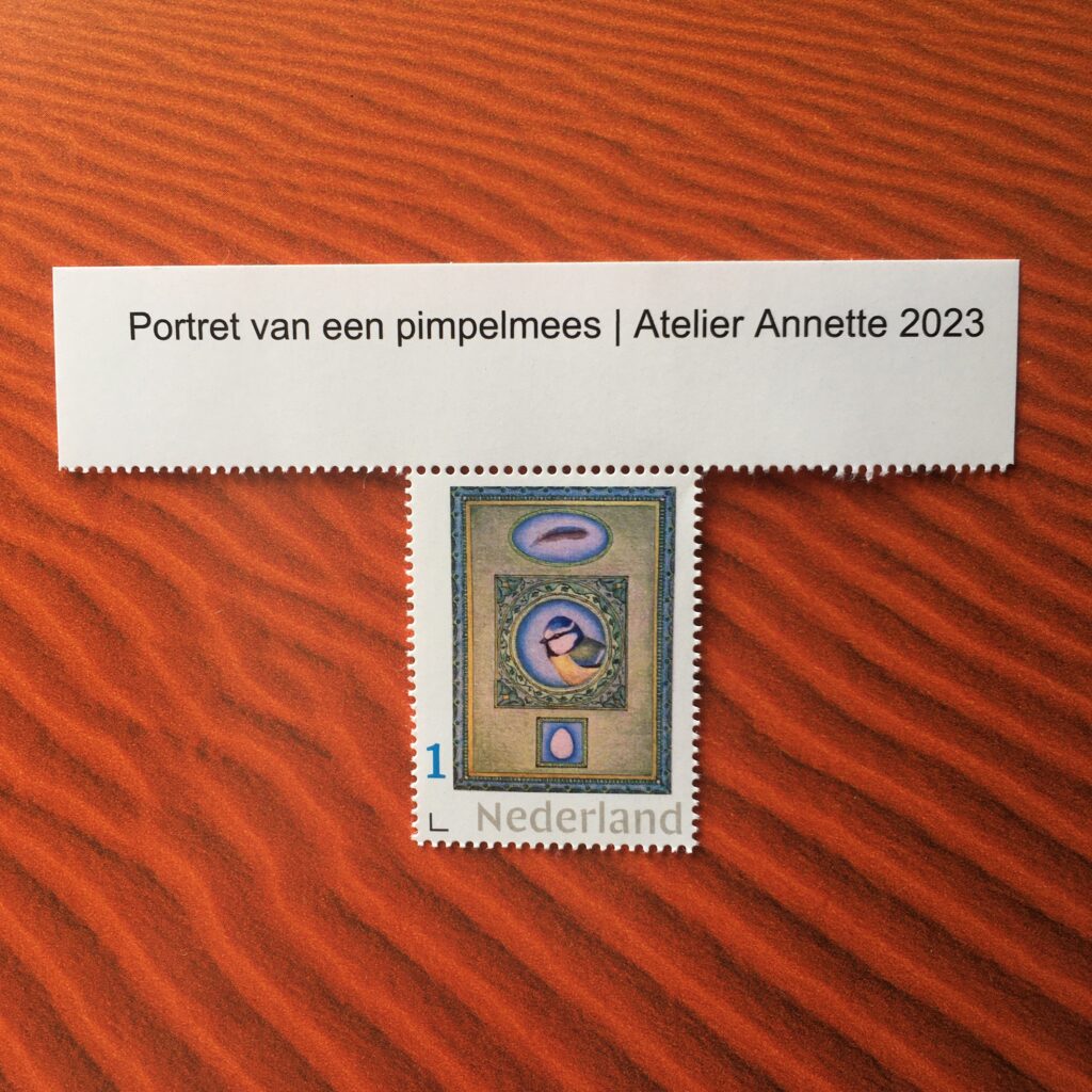 Postzegel | Stamp pimpelmees | Blue tit © 2023 Annette van der Swaluw