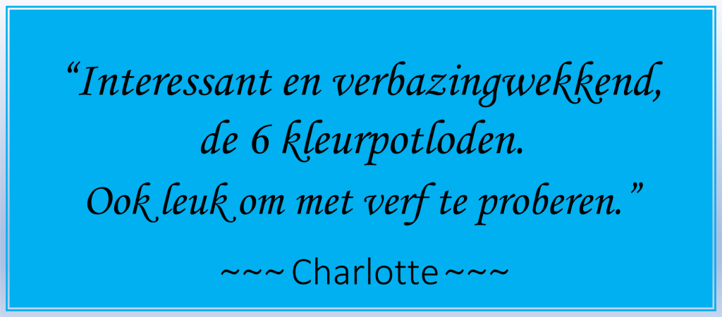 Review Charlotte voor tekenworkshop bij Atelier Annette van der Swaluw.