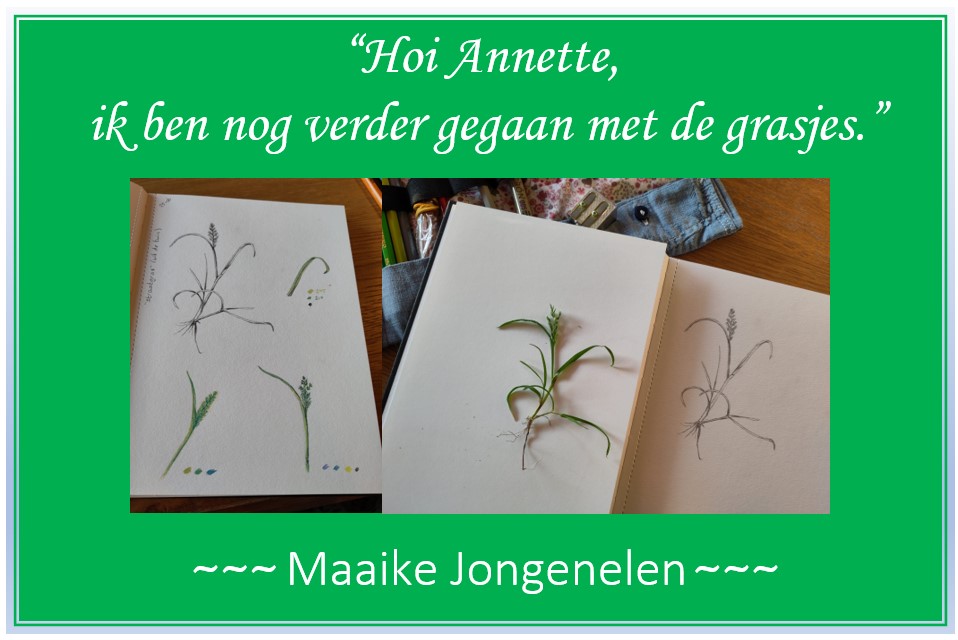 Tekening "Straatgras" Maaike Jongenelen voor tekenworkshop bij Atelier Annette van der Swaluw.