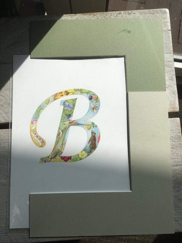Print Letter B Flora & Fauna alfabet - Afbeelding 4