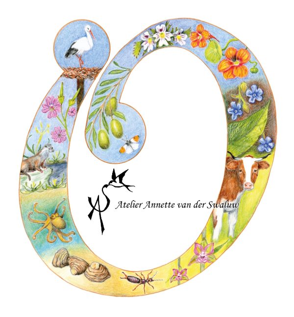 Print Letter O Flora & Fauna alfabet