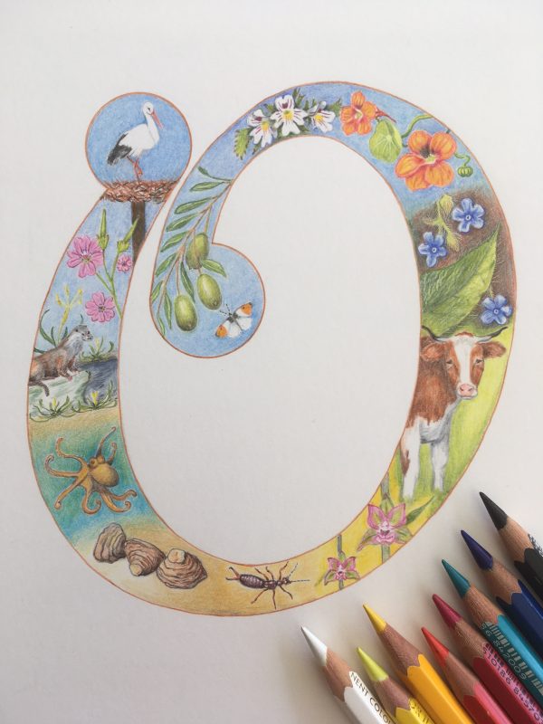 Print Letter O Flora & Fauna alfabet - Afbeelding 2