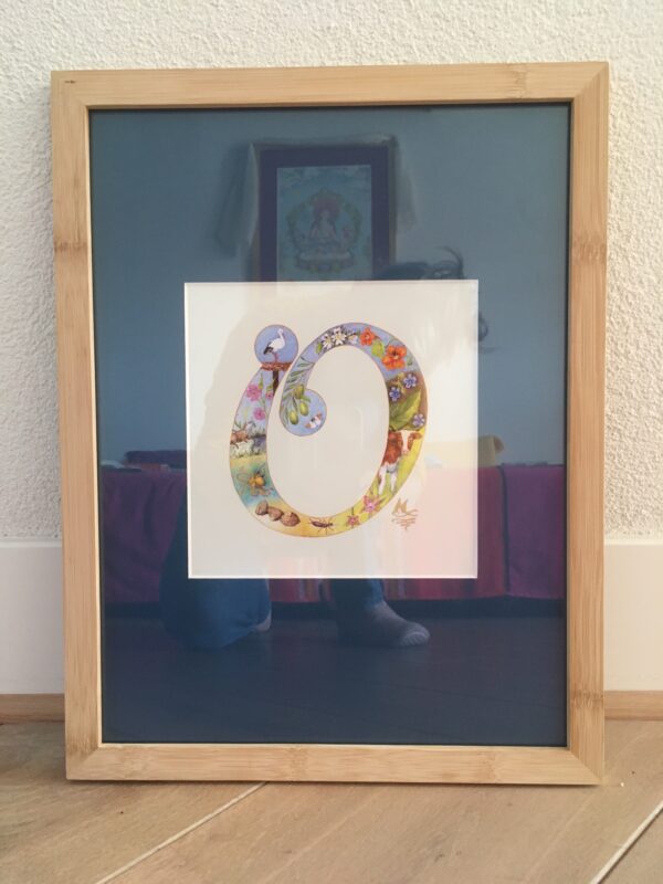 Print Letter O Flora & Fauna alfabet - Afbeelding 4