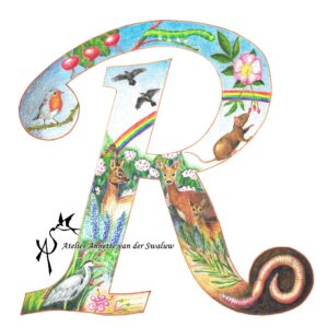 Fine Art Print Letter R Flora & Fauna alfabet