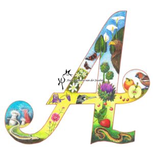 Fine Art Print Letter A Flora & Fauna alfabet