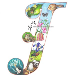 Fine Art Print Letter I (i) Flora & Fauna alfabet